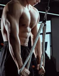 Créatine - Booster Image