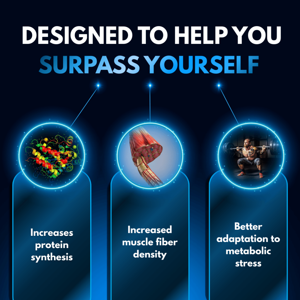 Beta Ecdysterone (90caps) - Dix | Nutriheart