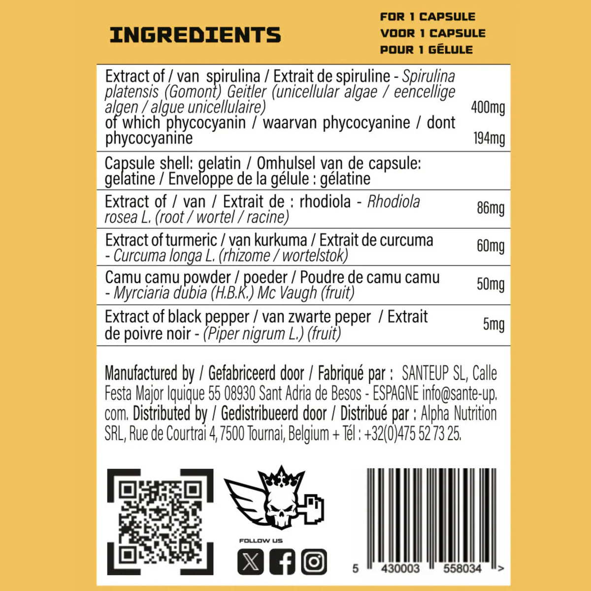 OCEAN PRIME - Alpha Labz